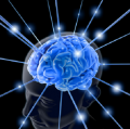 news-brainlights
