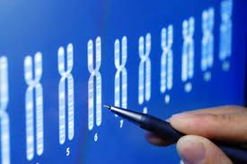 Genetics of Alzheimer’s Disease