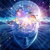 Explore Your Amazing Brain in 3-D