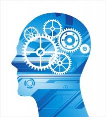 braintour_brain